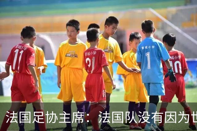 法国足协主席：法国队没有因为世界杯奖金问题而气氛紧张